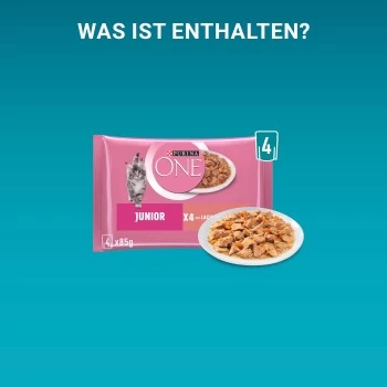 Purina ONE Junior Kittenfutter Nass Zarte Stückchen In Sauce Lachs 48x85g – Bild 9