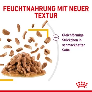 ROYAL CANIN SENSORY Taste In Soße Für Wählerische Katzen 12x85g – Bild 6