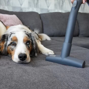 THOMAS Tierhaar Polsterdüse – Bild 2