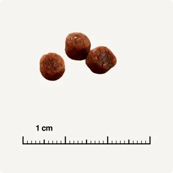 SELECT GOLD Kitten Geflügel Mit Reis 3 Kg – Bild 5