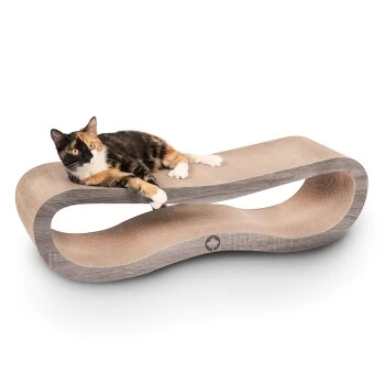 Canadian Cat Company Kratzbrett Orbit 2.0 Dunkelgrau – Bild 6