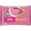 Purina ONE Junior Kittenfutter Nass Zarte Stückchen In Sauce Lachs 48x85g