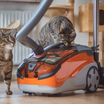 THOMAS AQUA+ Pet & Family – Bild 11