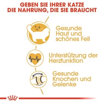 ROYAL CANIN Ragdoll Adult 10 Kg – Bild 5