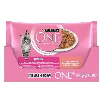 Purina ONE Junior Kittenfutter Nass Zarte Stückchen In Sauce Lachs 48x85g – Bild 10