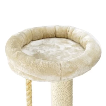 MORE FOR Kratzbaum Gaspar â Bild 3