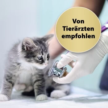 Felisept Home Comfort Set Diffusor + Flakon 45ml â Bild 2