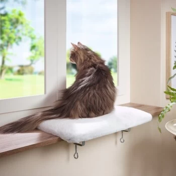 AniOne Fensterliegeplatz – Bild 3