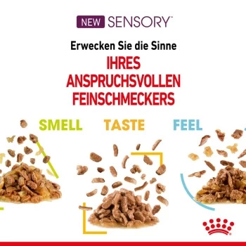 ROYAL CANIN SENSORY Taste In Soße Für Wählerische Katzen 12x85g – Bild 7