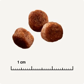 SELECT GOLD Sensitive Digestion Adult Geflügel Und Reis 2,5 Kg – Bild 5