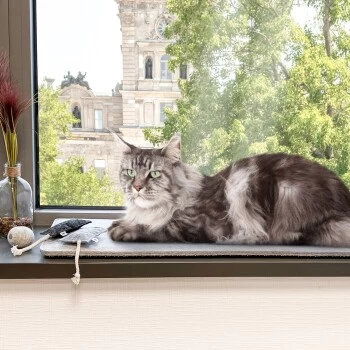 Canadian Cat Company Filzmatte Für Fensterbank Hellgrau S – Bild 3