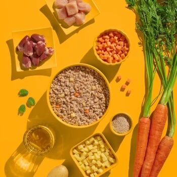 Fred & Felia FELIA 10x200g Huhn â Bild 4