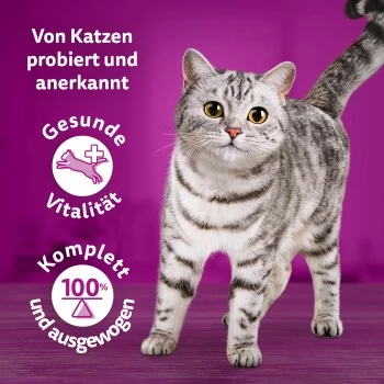 Whiskas Tasty Mix Multipack Chef's Choice In Sauce 40 X 85g – Bild 8
