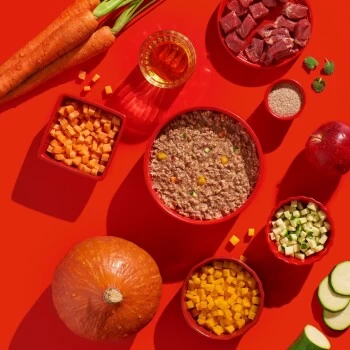 Fred & Felia FELIA 10x200g Rind – Bild 4