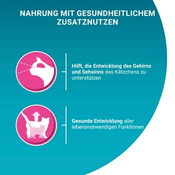 Purina ONE Junior Kittenfutter Nass Zarte Stückchen In Sauce Lachs 48x85g – Bild 8