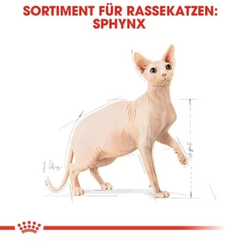 ROYAL CANIN Sphynx Adult 10 Kg – Bild 7