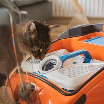 THOMAS AQUA+ Pet & Family – Bild 10