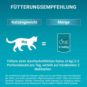Purina ONE Junior Kittenfutter Nass Zarte Stückchen In Sauce Lachs 48x85g – Bild 3