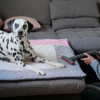 THOMAS AQUA+ Pet & Family – Bild 7