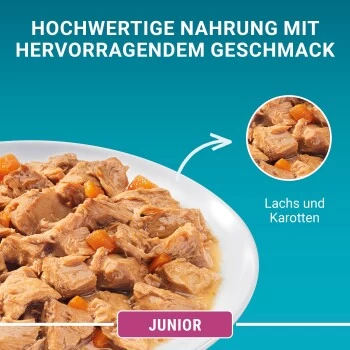 Purina ONE Junior Kittenfutter Nass Zarte Stückchen In Sauce Lachs 48x85g – Bild 7