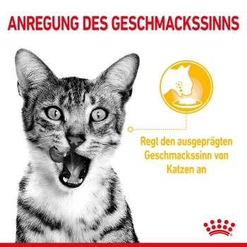 ROYAL CANIN SENSORY Taste In Soße Für Wählerische Katzen 12x85g – Bild 8