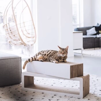 District 70 STRETCH – Bild 5