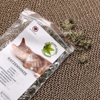 Canadian Cat Company Kratzbrett Orbit 2.0 Dunkelgrau – Bild 3