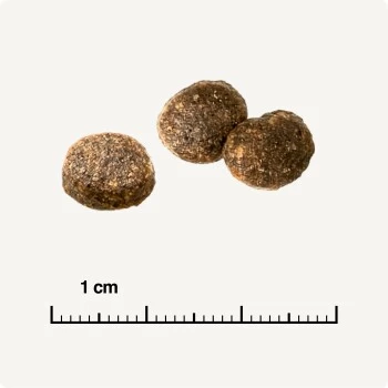 REAL NATURE WILDERNESS Adult Probierpaket Mixpaket 1, Mix-Pack – Bild 8