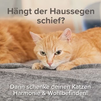 Beaphar CatComfort Excellence Nachfüll-Flakon Für Verdampfer – Bild 3
