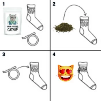 Kater Kasimir Premium Katzenminze, 60g Vorratspack (getrocknet, Geschnitten Und Gesiebt) – Bild 2