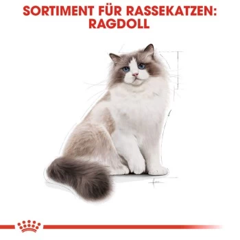 ROYAL CANIN Ragdoll Adult 10 Kg – Bild 6