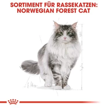 ROYAL CANIN Norwegian Forest Adult 10 Kg – Bild 5