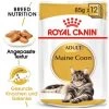 ROYAL CANIN Maine Coon 12x85g